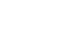 Texas Longhorns logo